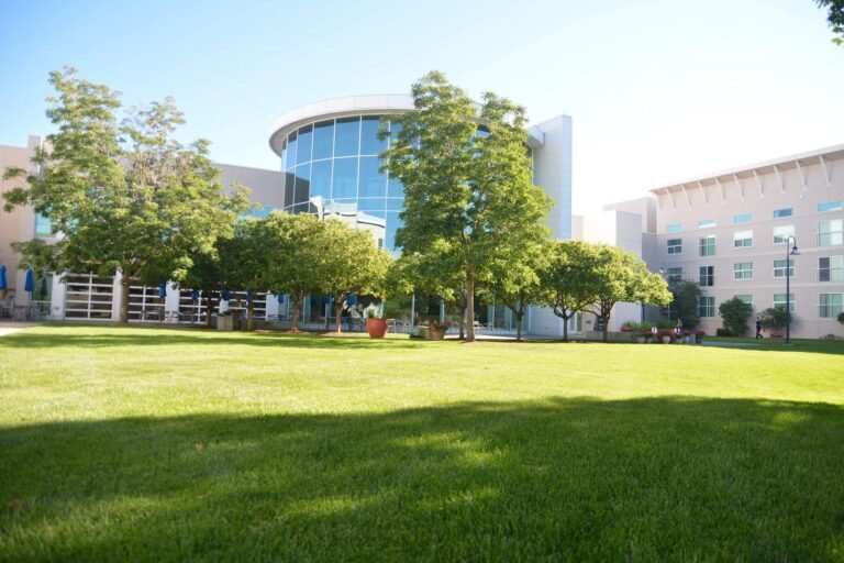 42e3f7a5 b3d7 4427 b0f4 f68bd7f94ea3 768x512